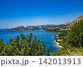 Coastal landscape with sea and cypress tree 142013913