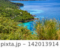Adriatic coastline and turquoise sea 142013914