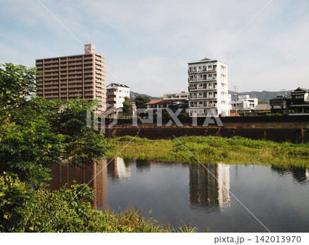 朝の新月橋近くの鏡川北岸(夏の鏡川 '26) 朝の新月橋近くの鏡川北岸(夏の鏡川 '26) 142013970