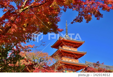 紅葉につつまれる京都 清水寺 紅葉につつまれる京都 清水寺 142014012