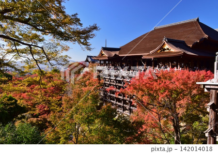 紅葉につつまれる京都 清水寺 142014018