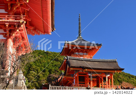 紅葉につつまれる京都 清水寺 142014022
