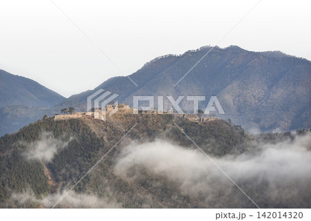 立雲峡より望む竹田城跡 立雲峡より望む竹田城跡 142014320