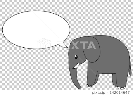 elephant  142014647