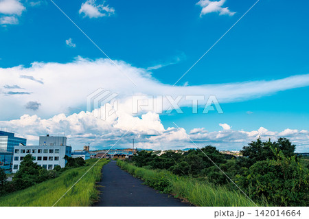 夏の青空と巨大な入道雲が広がる河川敷の風景 夏の青空と巨大な入道雲が広がる河川敷の風景 142014664