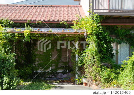 雑草やツタに覆われた古い木造住宅の空き家、一戸建ての空き家住宅の外観 142015469
