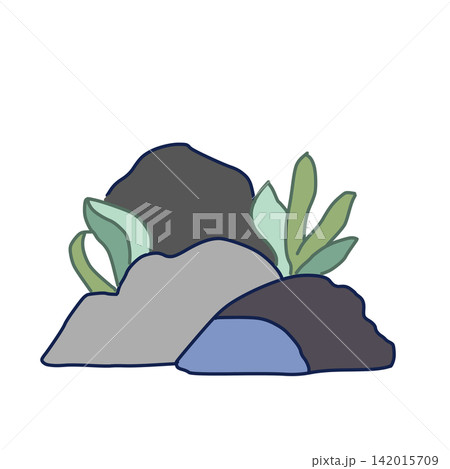 海藻が生えた岩を描いた手描き風イラスト 142015709