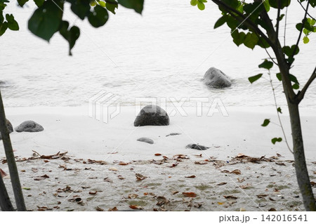 Peaceful Beach Scene with Rocks and Calm Ocean Water 142016541