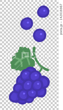 Color illustration of a bunch of grapes and individual grapes Color illustration of a bunch of grapes and individual grapes 142016987