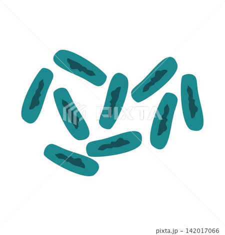 lactobacillus plantarum beneficial bacteria 142017066