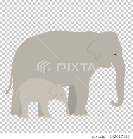 A simple and cute vector illustration of a mother and baby Asian elephant. A simple and cute vector illustration of a mother and baby Asian elephant. 142017122