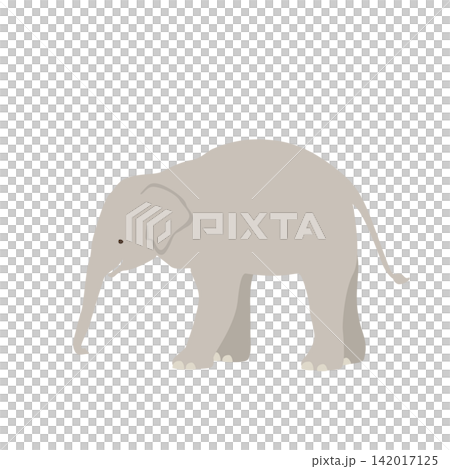 Simple and cute vector illustration of a baby Asian elephant Simple and cute vector illustration of a baby Asian elephant 142017125