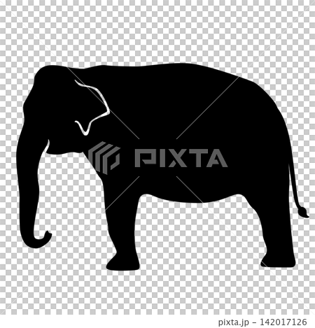 Simple silhouette illustration of an Asian elephant Simple silhouette illustration of an Asian elephant 142017126