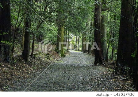京都府亀岡市西別院町犬甘野に所在する静寂な松尾神社を撮影 京都府亀岡市西別院町犬甘野に所在する静寂な松尾神社を撮影 142017436