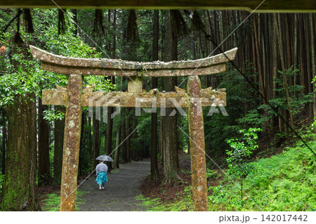 京都府亀岡市西別院町犬甘野に所在する静寂な松尾神社を撮影 142017442