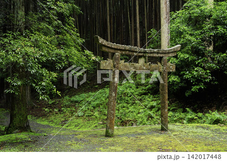 京都府亀岡市西別院町犬甘野に所在する静寂な松尾神社を撮影 142017448