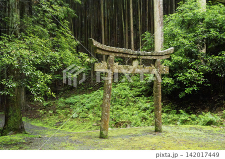 京都府亀岡市西別院町犬甘野に所在する静寂な松尾神社を撮影 京都府亀岡市西別院町犬甘野に所在する静寂な松尾神社を撮影 142017449