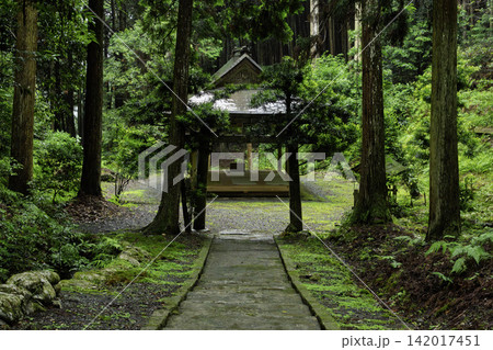 京都府亀岡市西別院町犬甘野に所在する静寂な松尾神社を撮影 142017451