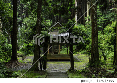 京都府亀岡市西別院町犬甘野に所在する静寂な松尾神社を撮影 142017455