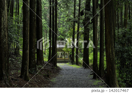 京都府亀岡市西別院町犬甘野に所在する静寂な松尾神社を撮影 京都府亀岡市西別院町犬甘野に所在する静寂な松尾神社を撮影 142017467