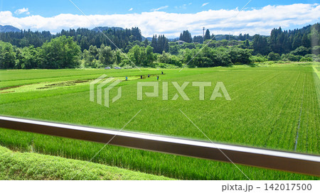 秋田内陸線 広大な夏の車窓風景 田んぼアートの手入れする人々 秋田県 秋田内陸線 広大な夏の車窓風景 田んぼアートの手入れする人々 秋田県 142017500