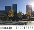 黄金色に色づいた銀杏並木と東京駅丸の内駅舎 142017578