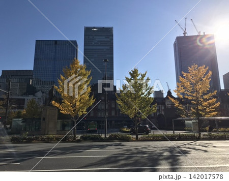 黄金色に色づいた銀杏並木と東京駅丸の内駅舎 黄金色に色づいた銀杏並木と東京駅丸の内駅舎 142017578