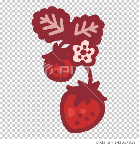 Color illustration of strawberries on a stem Color illustration of strawberries on a stem 142017618