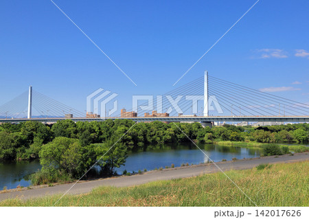 菅原城北大橋と城北ワンド(大阪) 菅原城北大橋と城北ワンド(大阪) 142017626