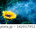 ミストに包まれたひまわりのクローズアップ 142017952