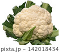 新鮮なカリフラワーのクローズアップ 142018434