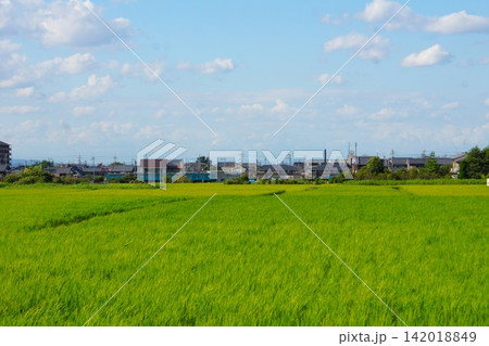 飛鳥路の風景 藤原京跡遺跡群 飛鳥路の風景 藤原京跡遺跡群 142018849