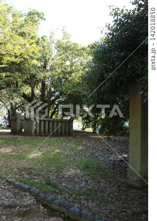 飛鳥路の風景　藤原京跡遺跡群 142018850