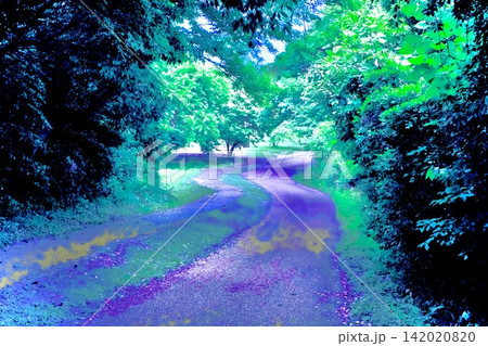 青緑に染まる森の曲がり道と幻想的な自然風景 142020820