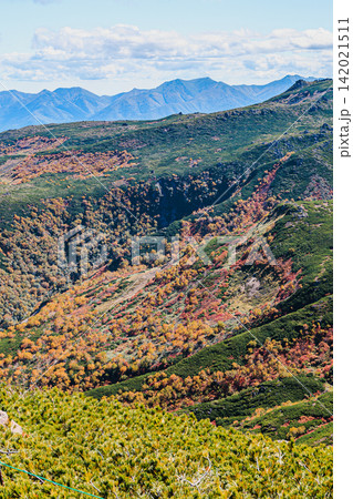 黒岳山頂から望むハイマツの緑と色鮮やかな紅葉が織りなす大雪山の景観 142021511