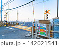 夏の朝の湘南海岸 鎌倉高校前駅踏切 夏の朝の湘南海岸 鎌倉高校前駅踏切 142021541