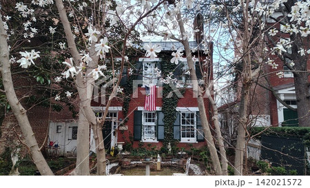 A two-story brick house in the United States, seen through blooming white magnolias. An American flag hangs on the facade, and a cozy courtyard lies in front. A two-story brick house in the United States, seen through blooming white magnolias. An American flag hangs on the facade, and a cozy courtyard lies in front. 142021572