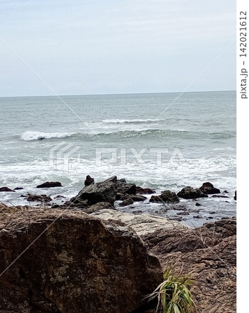 海岸 海岸 142021612