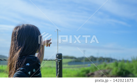 東北の牧草地で柵に止まったトンボを指差す少女の後ろ姿｜好奇心あふれる子供時代の一コマ 142021873