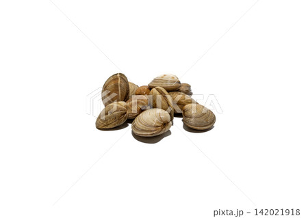 Fresh raw clams isolated on white, ideal for seafood advertising, restaurant menus, culinary recipes, food packaging, grocery catalogs, and Mediterranean cuisine marketing. Fresh raw clams isolated on white, ideal for seafood advertising, restaurant menus, culinary recipes, food packaging, grocery catalogs, and Mediterranean cuisine marketing. 142021918