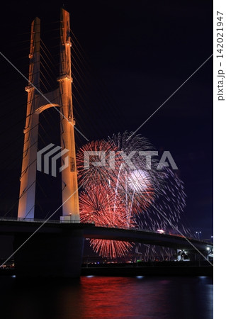 夜空を彩る大阪芸術花火（大阪府泉佐野市） 142021947