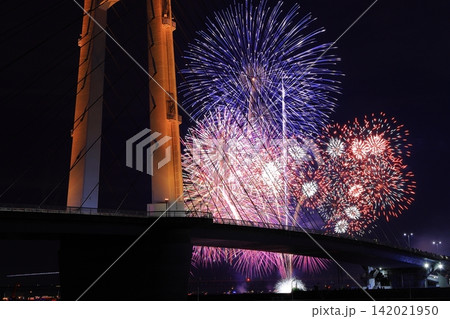 夜空を彩る大阪芸術花火(大阪府泉佐野市) 夜空を彩る大阪芸術花火(大阪府泉佐野市) 142021950