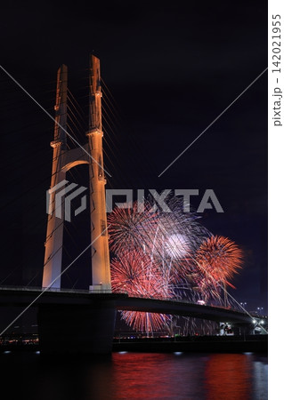 夜空を彩る大阪芸術花火（大阪府泉佐野市） 142021955