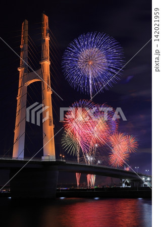 夜空を彩る大阪芸術花火(大阪府泉佐野市) 夜空を彩る大阪芸術花火(大阪府泉佐野市) 142021959