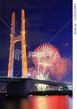 夜空を彩る大阪芸術花火(大阪府泉佐野市) 夜空を彩る大阪芸術花火(大阪府泉佐野市) 142021964