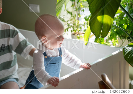 Baby stands holding bed rail and looks toward large green houseplants while older brother sits nearby. Early childhood, curiosity, child development, exploration, sibling care, learning, home life 142022609