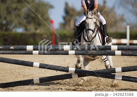The white horse is refusing to jump an obstacle, over a jump rider about to fall 142023168