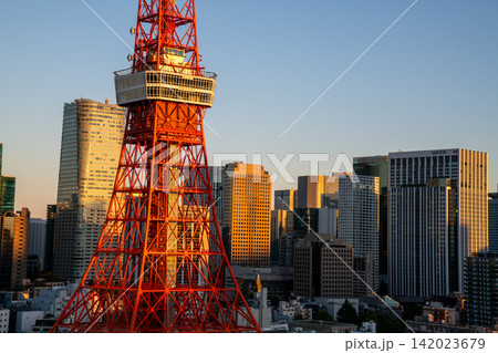 東京都 朝日に照らされる東京タワー・東京タワーのある街並み・朝焼けの東京都市風景 東京都 朝日に照らされる東京タワー・東京タワーのある街並み・朝焼けの東京都市風景 142023679