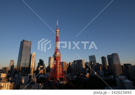 東京都　朝日に照らされる東京タワー・東京タワーのある街並み・朝焼けの東京都市風景 142023693