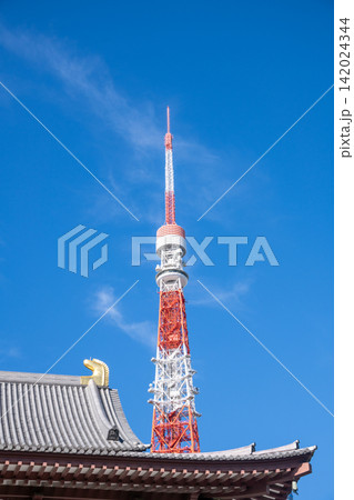 東京都 東京タワーのある街並み・東京都市風景・増上寺と東京タワー 東京都 東京タワーのある街並み・東京都市風景・増上寺と東京タワー 142024344